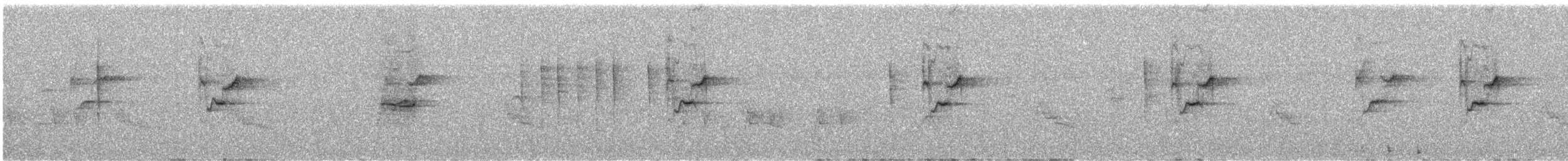 Ошейниковая нектарница - ML573251631