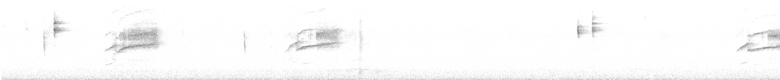 Tyranneau à sourcils blancs - ML573292621