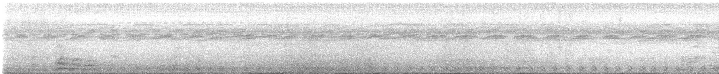 Сплюшка мангрова (підвид cooperi) - ML573293161