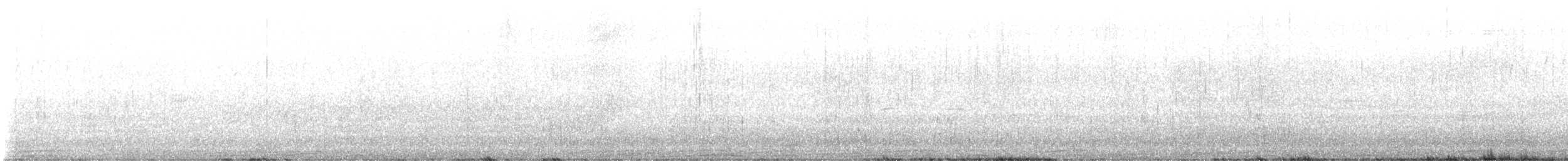 kajka mořská (ssp. dresseri) - ML573294511