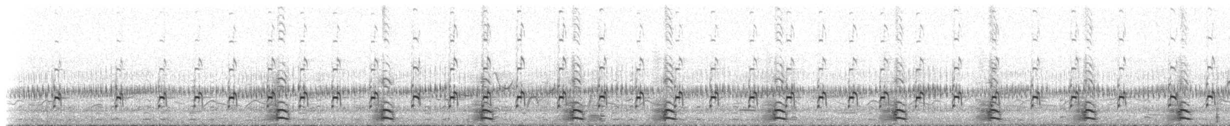 Braunhals-Säbelschnäbler - ML573306721