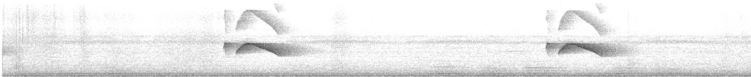 White-tailed Nightjar - ML573328181