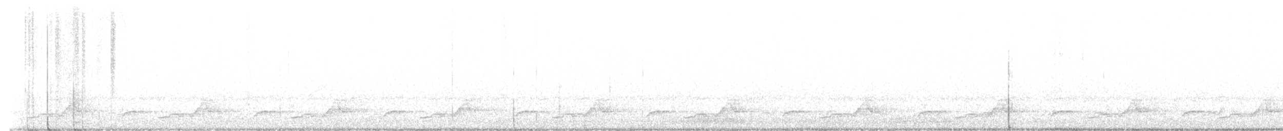 Schwarzkehl-Nachtschwalbe - ML573358821