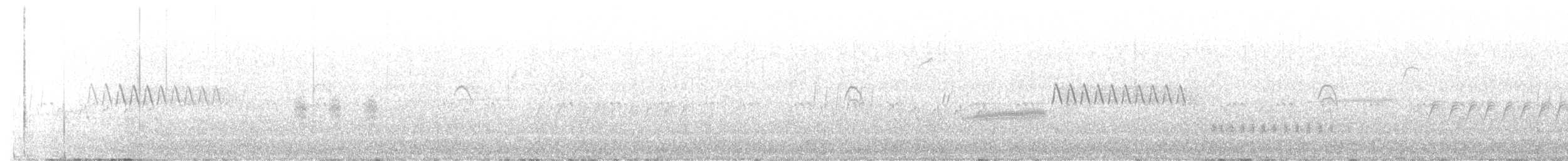 Mountain Quail - ML573366111