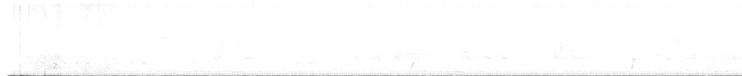 オリーブチャツグミ（ustulatus グループ） - ML573372391