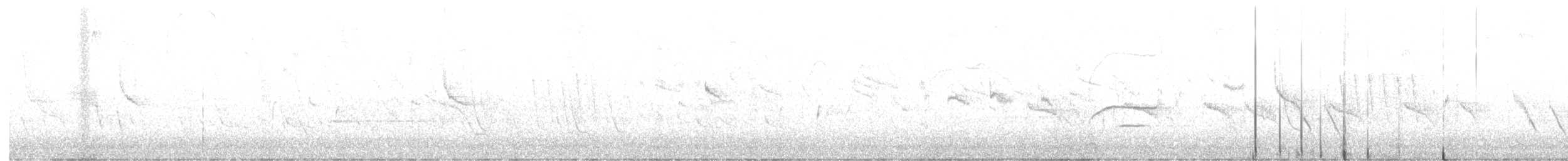 Тиранчик-тонкодзьоб південний - ML573388291