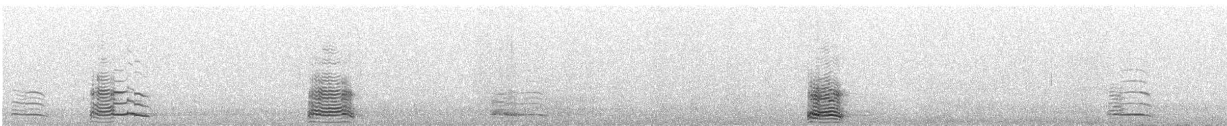 Gaviota Occidental x de Bering (híbrido) - ML573398801