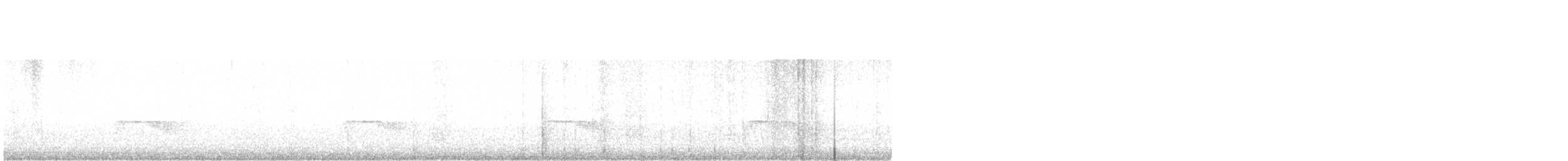 Schmalspiegel-Nachtschwalbe - ML573416341