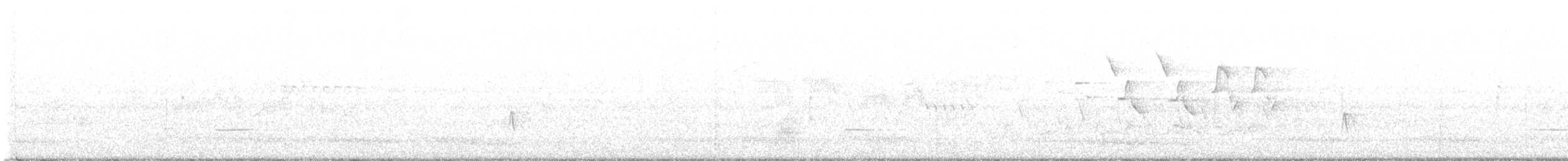 tyranovec olšový - ML573466221