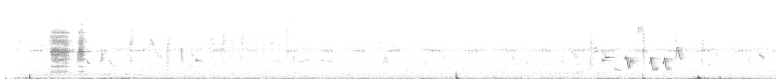 Ring-necked Pheasant - ML573469911