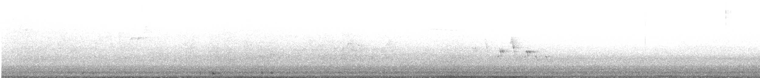 svartbrystparula - ML573472481