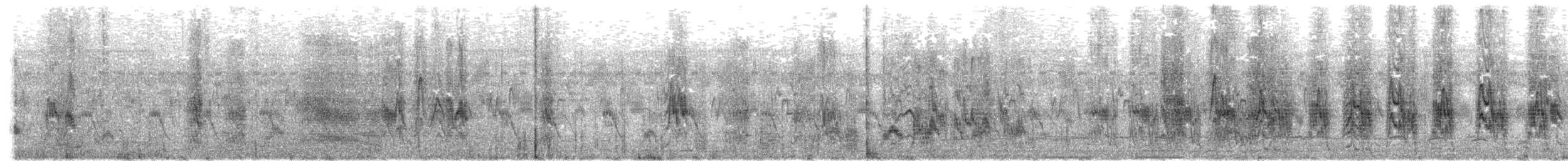 ハイイロハッカ - ML573492501