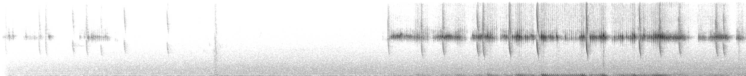 Широкохвостый колибри - ML573511111
