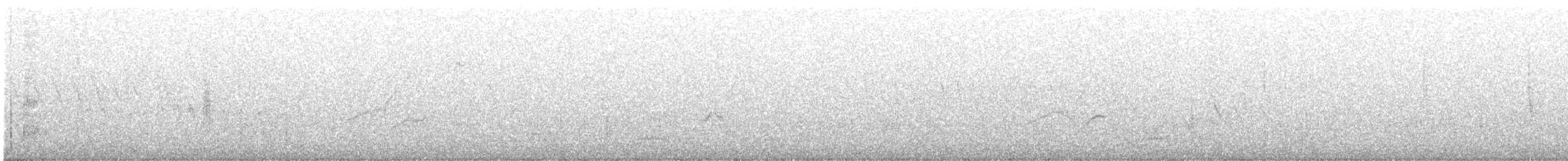 Canada Warbler - ML573511721