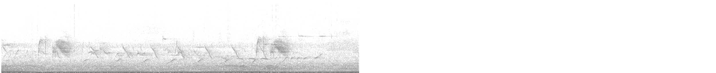 tyranovec vrbový - ML573524171