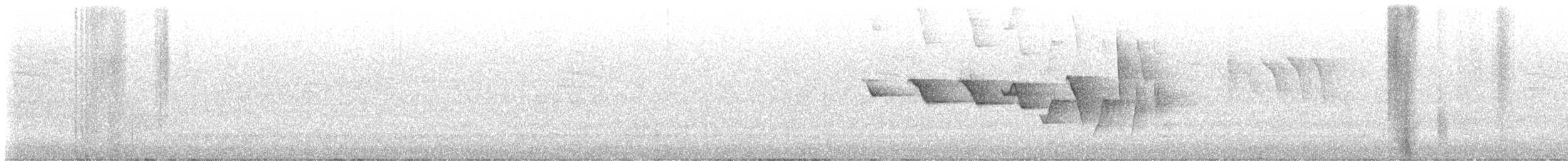 Трясогузковый певун - ML573541001
