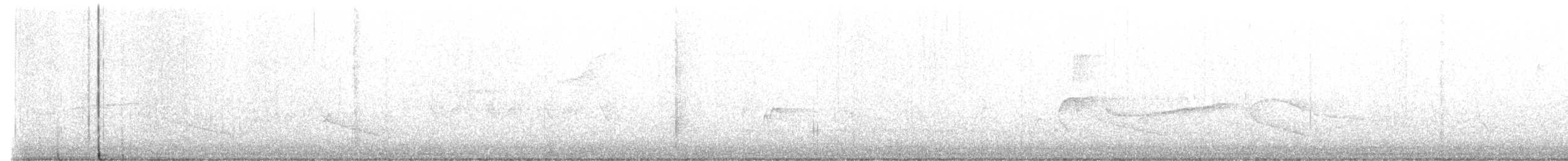 Connecticut Warbler - ML573554911