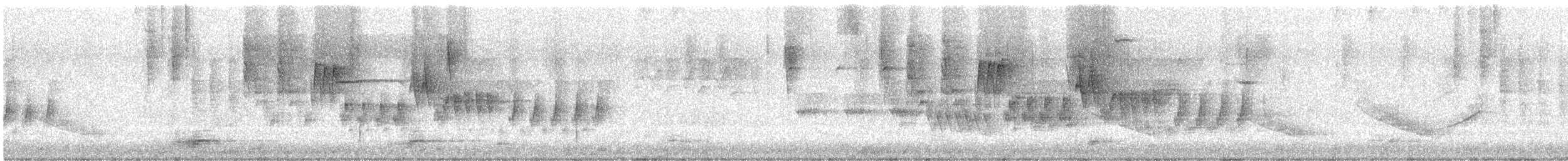 Northern House Wren - ML573569701