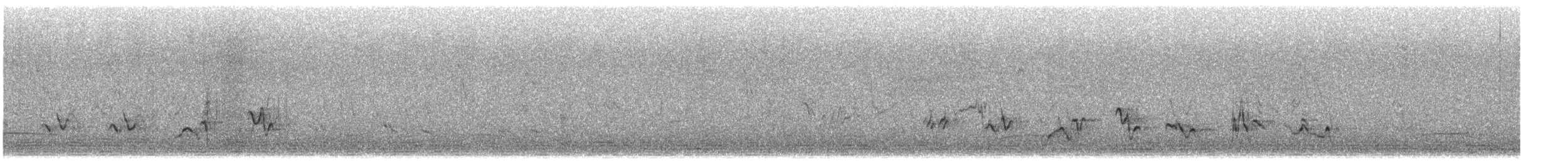 Черноголовый толстонос - ML573596491