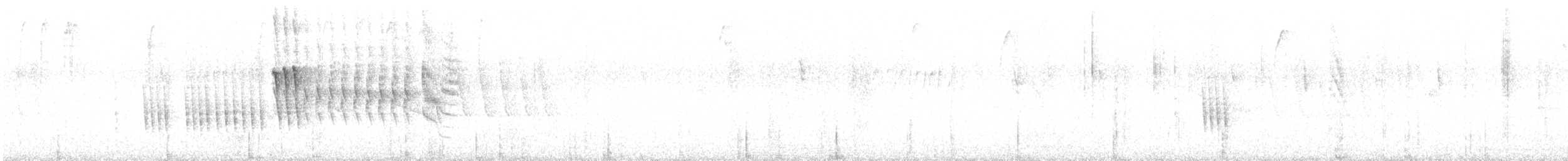 Sporophile noir et blanc - ML573610261