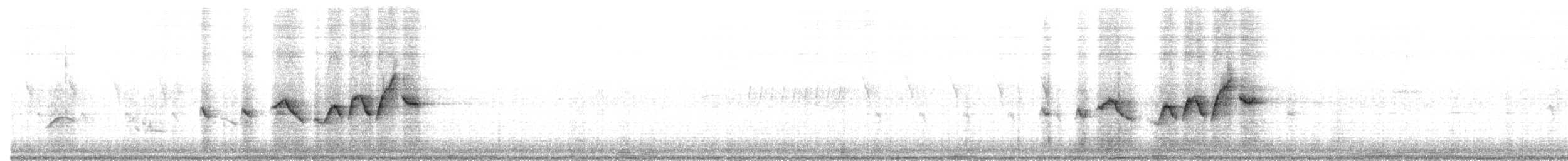 Paruline à capuchon - ML573616011