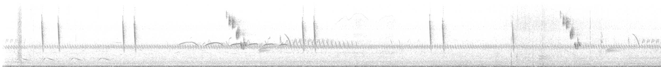 Sedge Wren - ML573649521