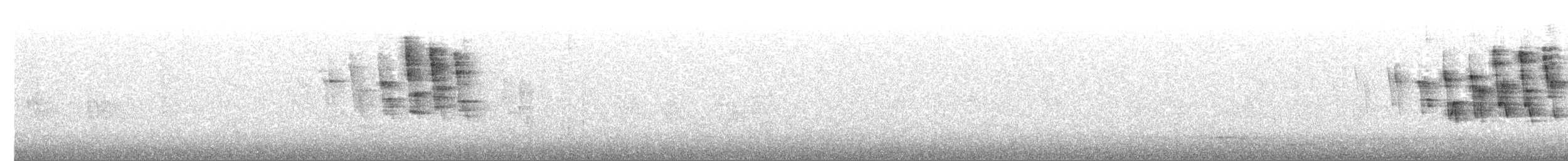 Paruline à calotte noire - ML573662621
