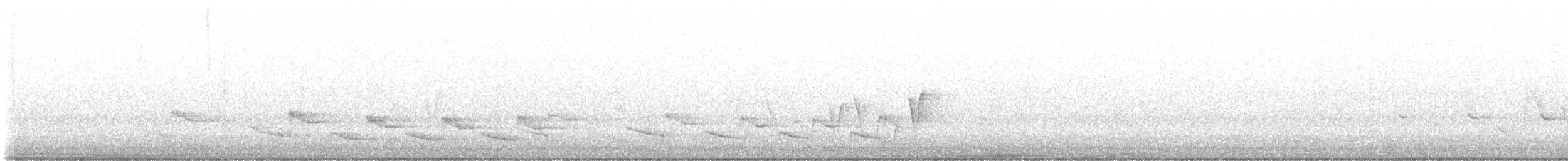 Connecticut Warbler - ML573702041