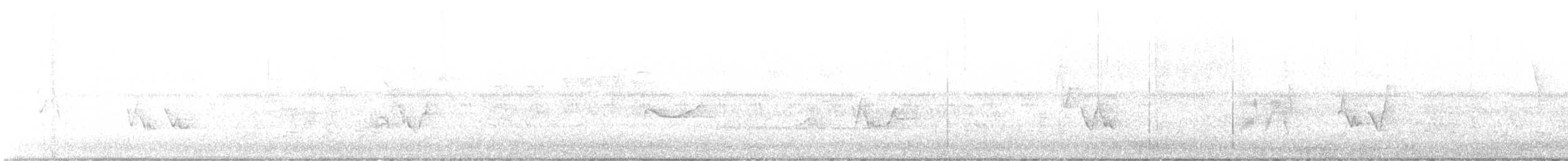 tyranovec olšový - ML573725461
