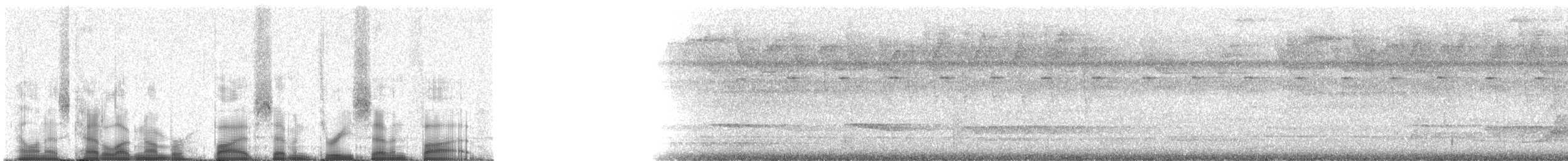 Streak-chested Antpitta (Pacific Slope) - ML57375