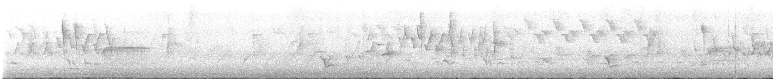 Rose-breasted Grosbeak - ML573763061