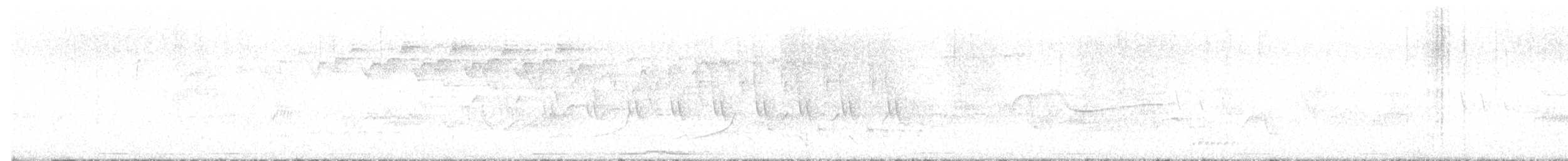 Black-and-white Warbler - ML573783401
