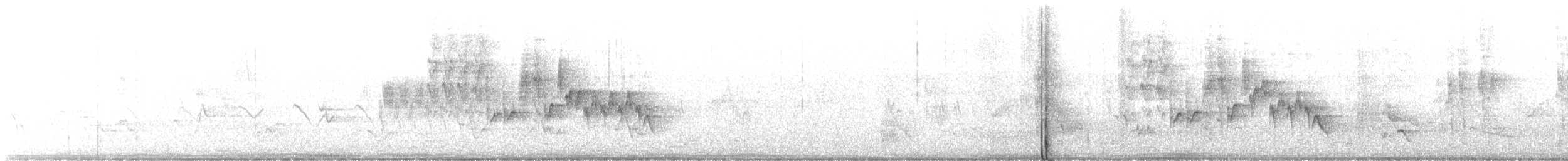 Northern House Wren - ML573796931