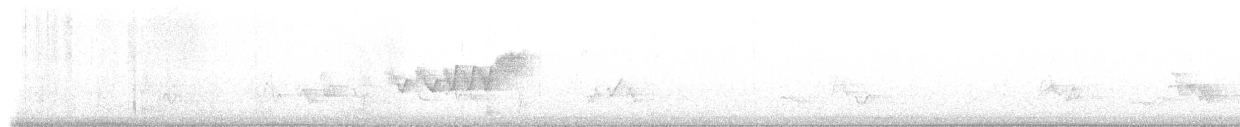 Cerulean Warbler - ML573802891