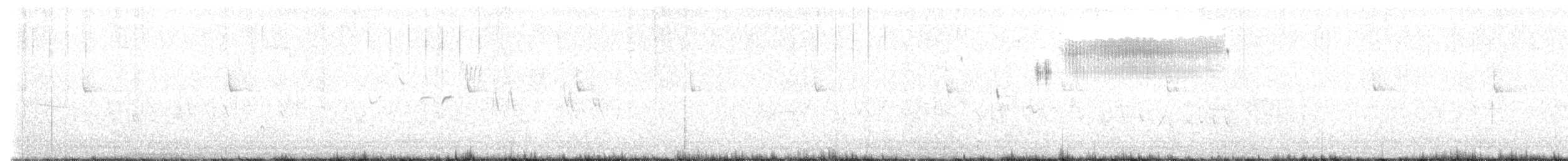 Кузнечиковая овсянка-барсучок - ML573829761
