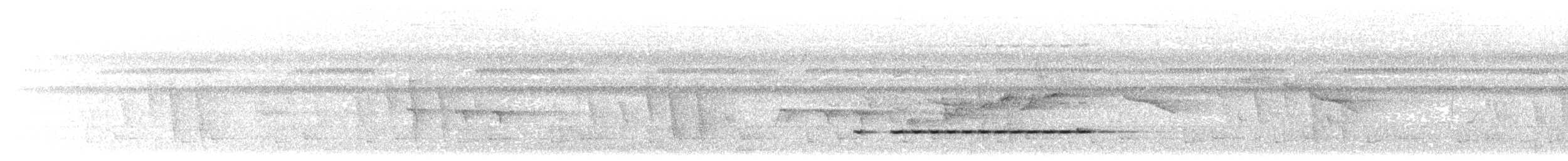 Timalie à front roux (groupe rufifrons) - ML573869831