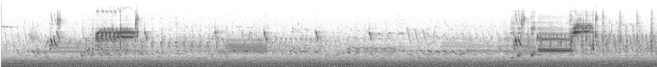 Острохвостая овсянка-барсучок - ML573881401