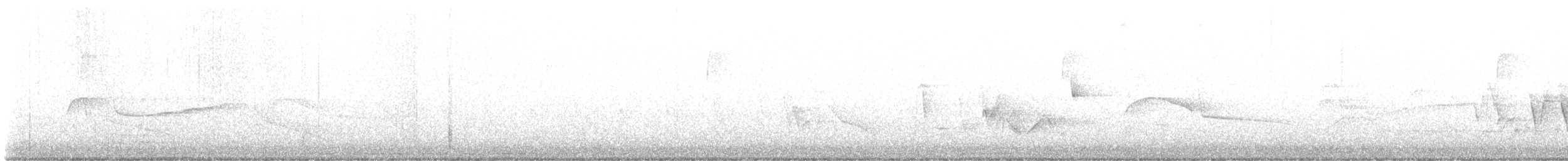 Connecticut Warbler - ML573888191