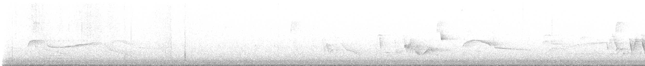 Connecticut Warbler - ML573888191