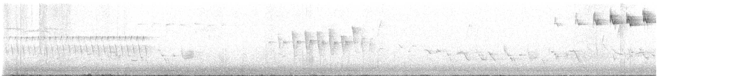 Wilson's Warbler - ML573898051