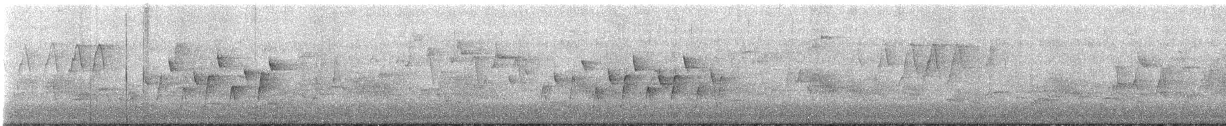 Connecticut Warbler - ML573926371