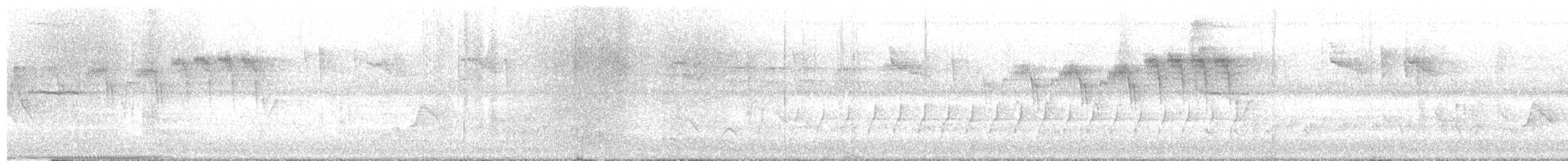 チャカブリアメリカムシクイ - ML573927921