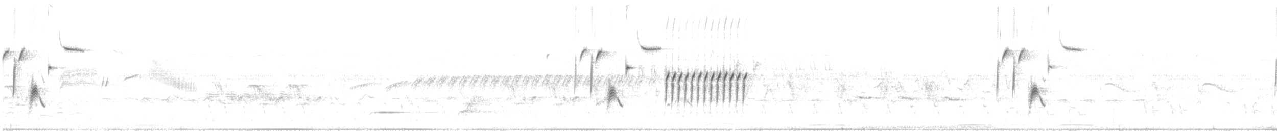 Schwarzkehlammer - ML573935831