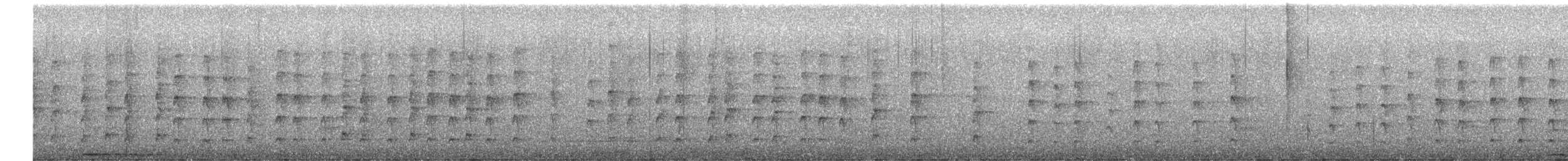 Fadenschwanzschlüpfer - ML573945821