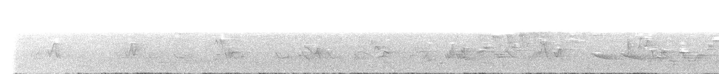 Дрізд-короткодзьоб Cвенсона - ML573980681