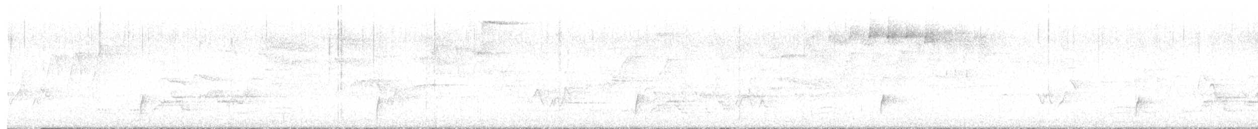 Swainson's Thrush - ML573988211