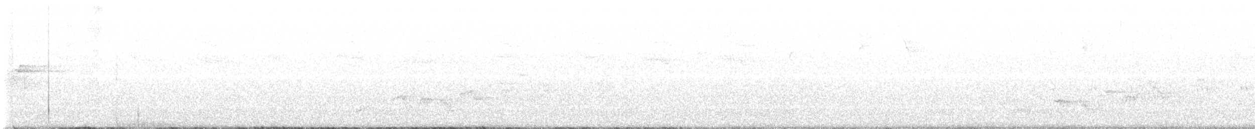 Swainson's Thrush - ML573990201