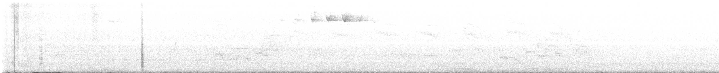 Swainson's Thrush - ML573990371