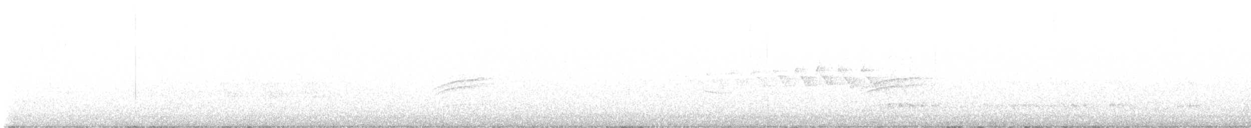 キヅタアメリカムシクイ（coronata） - ML574009551