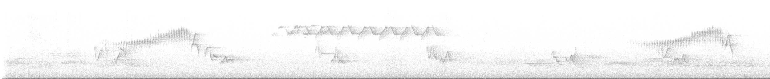 Northern Parula - ML574015471